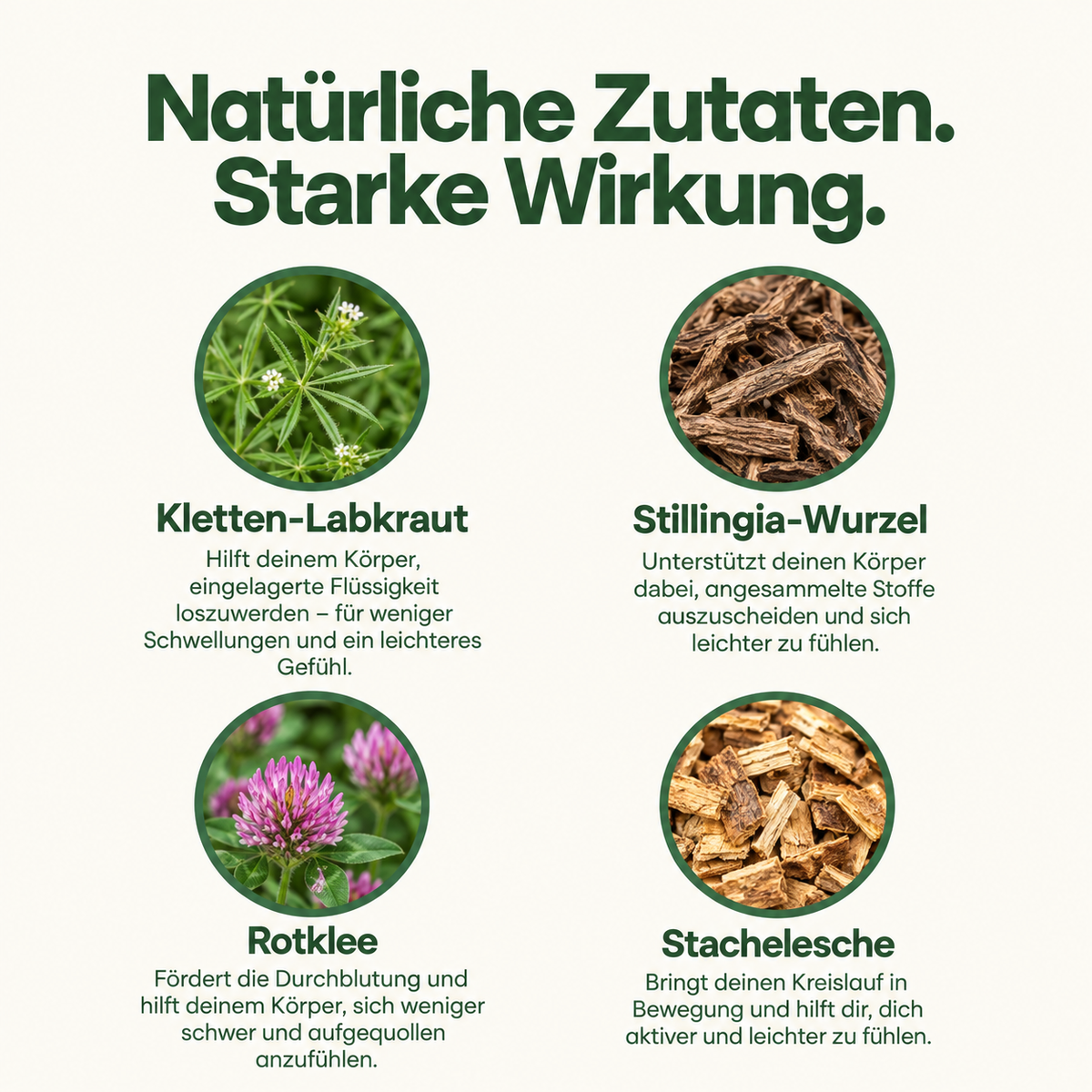 Naturstill – Weniger Schwellungen & Blähbauch